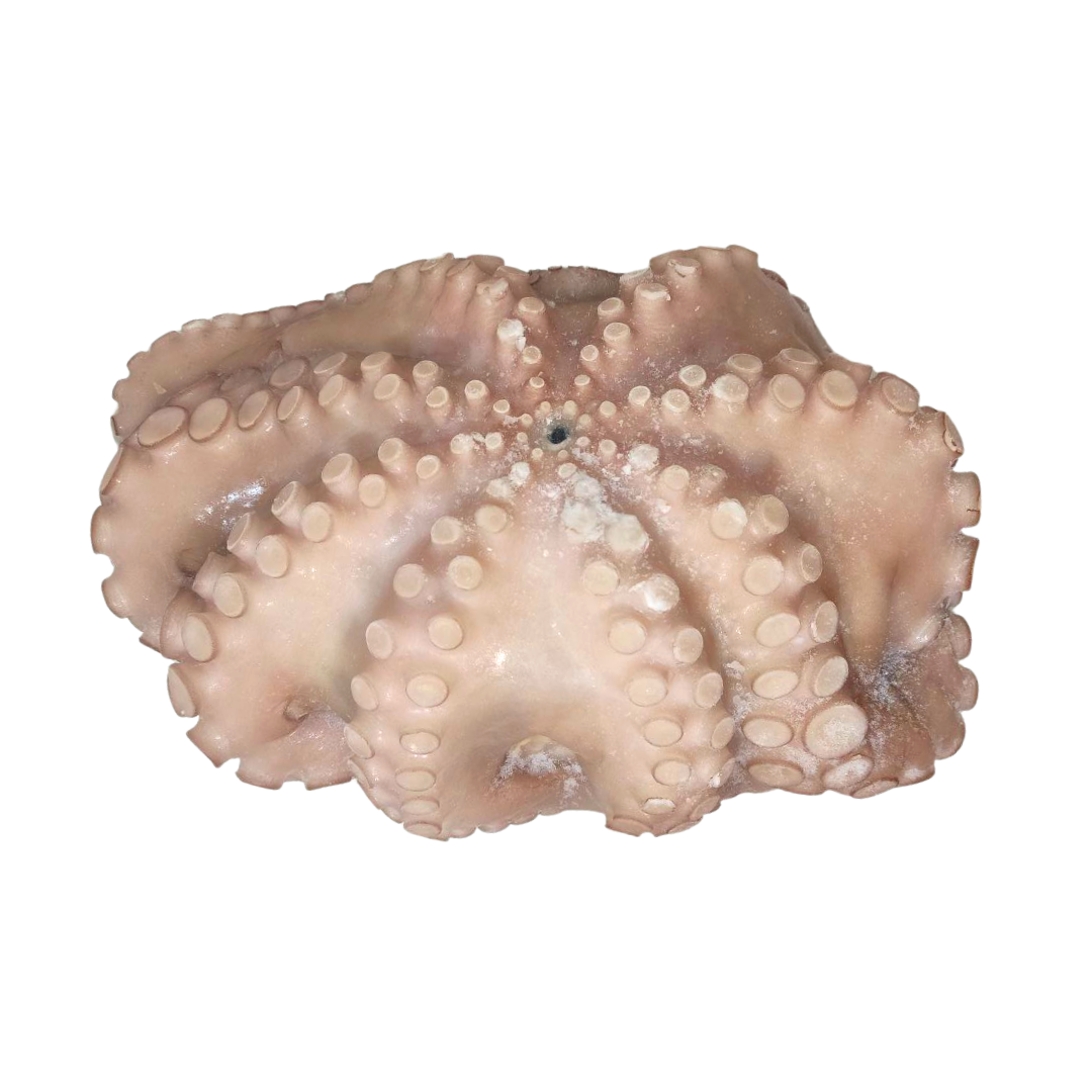 Pulpo español por lb